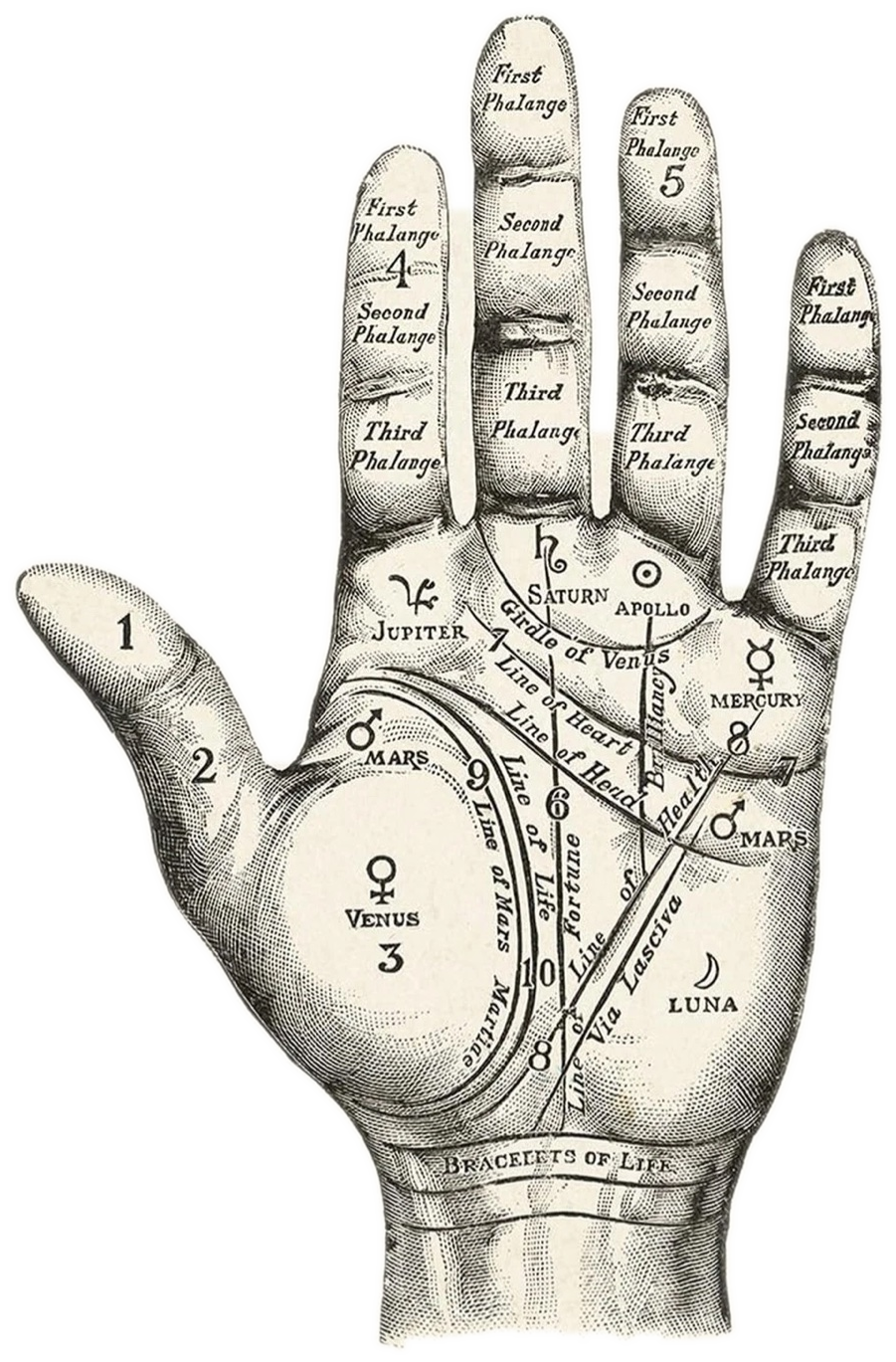 Classical Cheiro palm diagram showing the mounts and lines